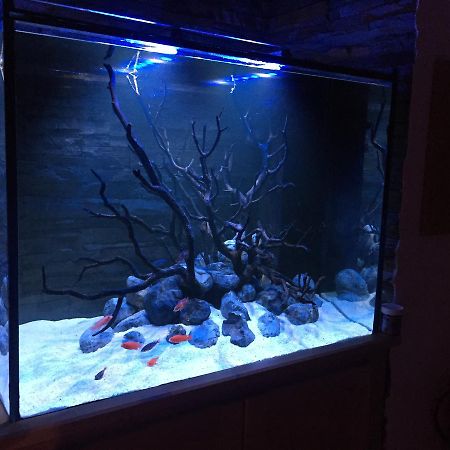 Aquarium House Apartman Sesimbra Kültér fotó