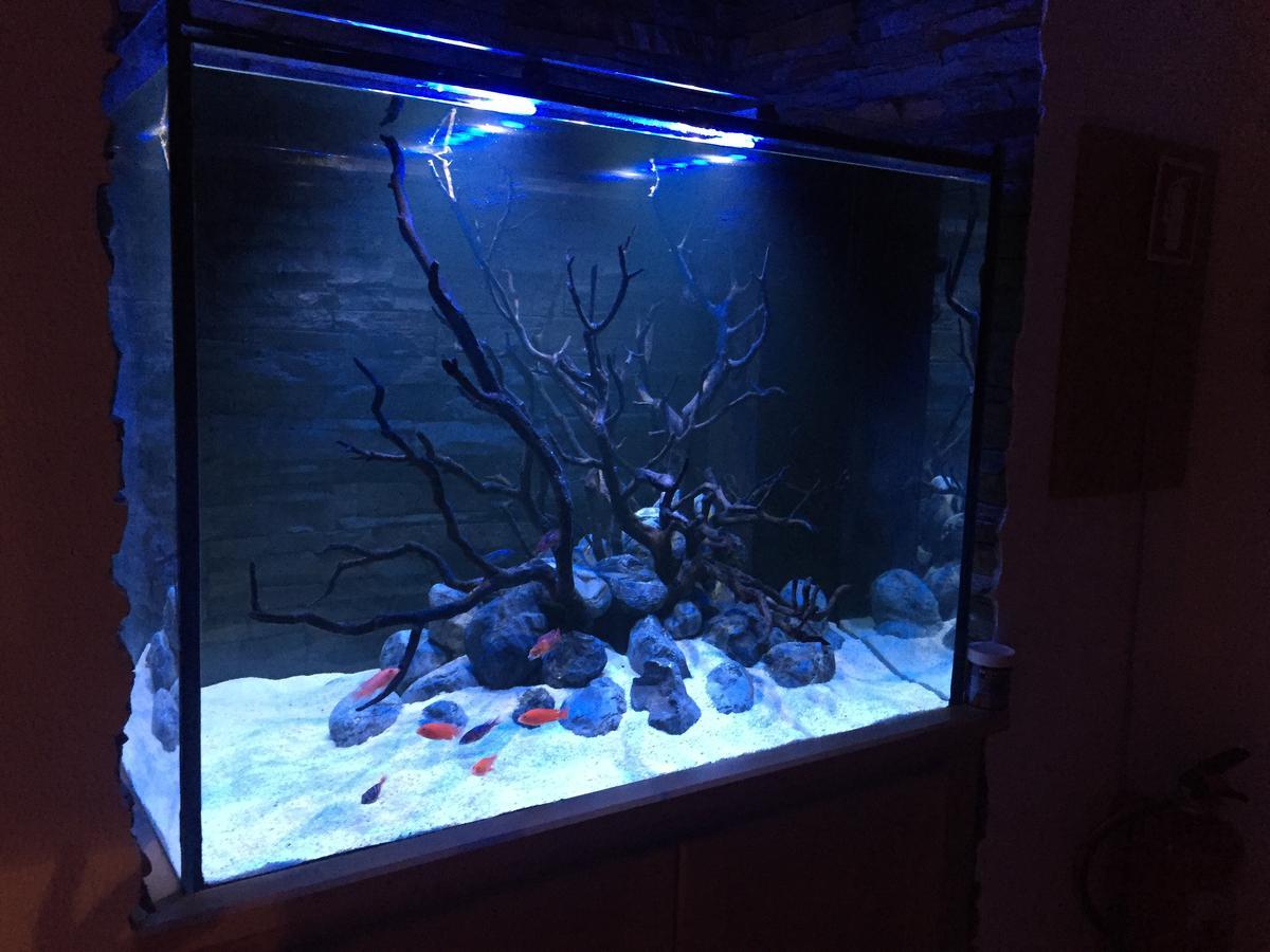 Aquarium House Apartman Sesimbra Kültér fotó